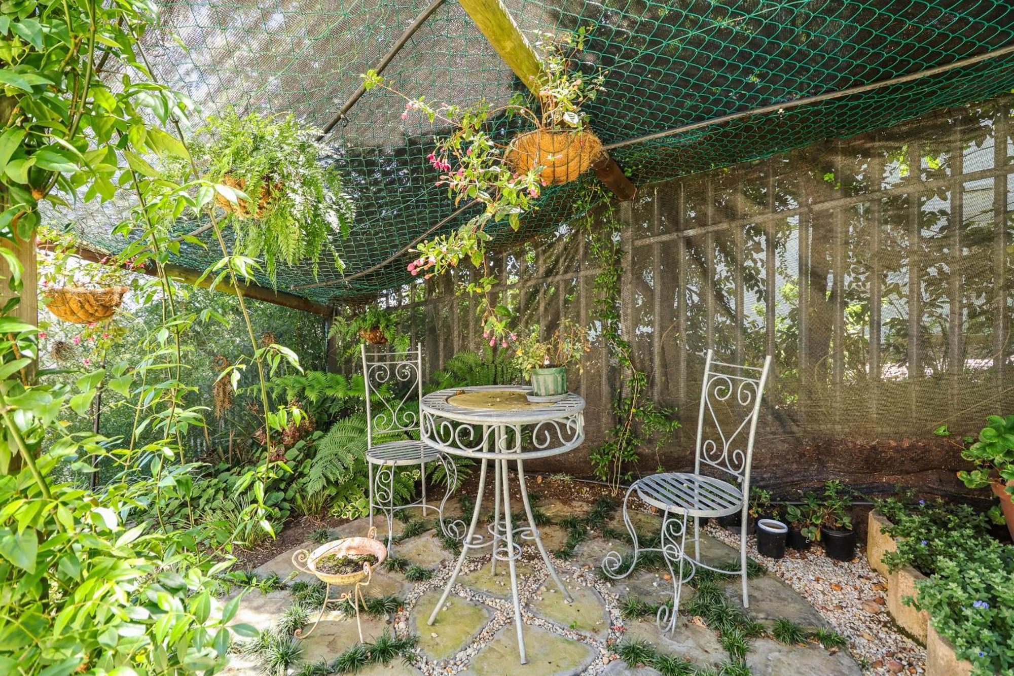 Belle Vue Ridge Bnb, Plettenberg Bay Ngoại thất bức ảnh